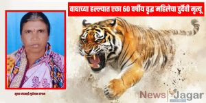A 60-year-old woman died tragically in a tiger attack.