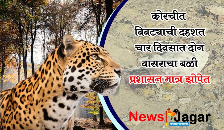 korchi news