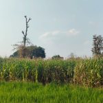 WhatsApp Image 2026-04-10 at 3.16.50 PM