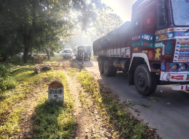 जनावरांची तस्करी