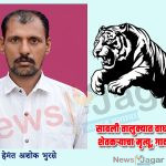 hemant Bhurse tiger attck samda saoli
