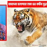 A 60-year-old woman died tragically in a tiger attack.