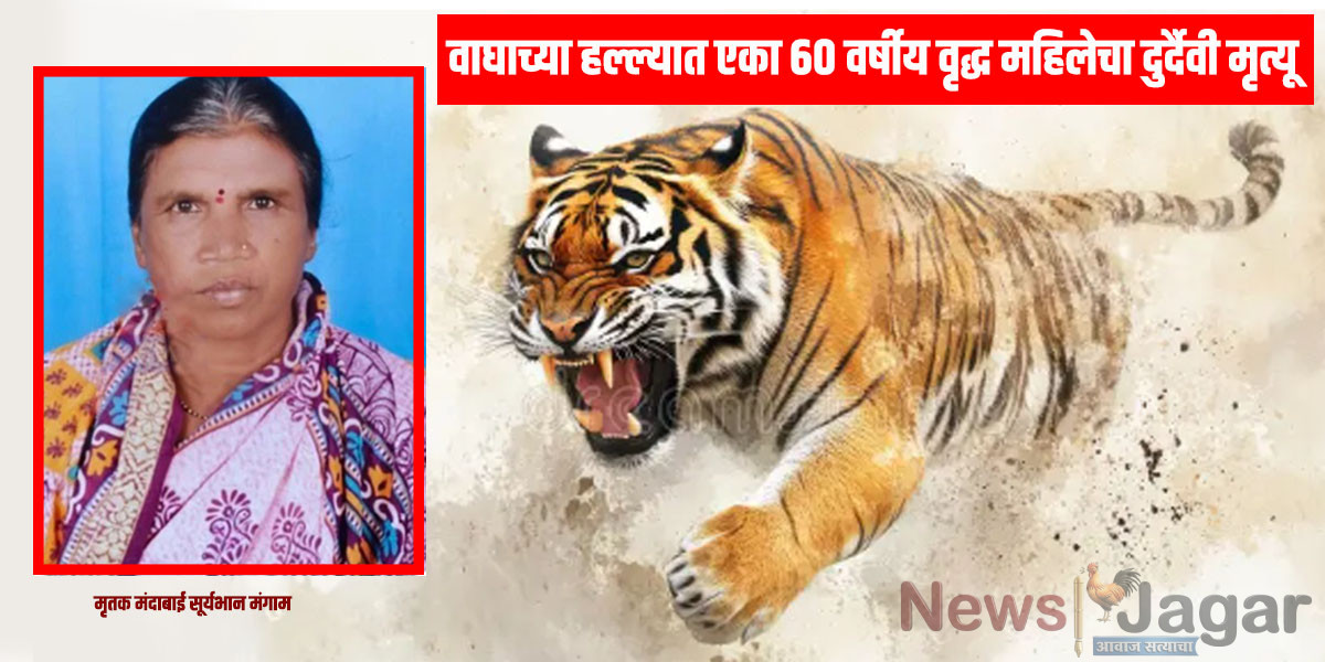 A 60-year-old woman died tragically in a tiger attack.