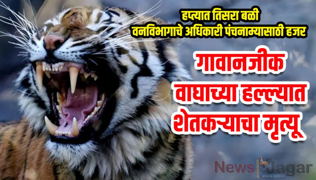 Farmer killed in tiger attack near village