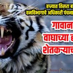 Farmer killed in tiger attack near village