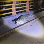 IMG-20261009-WA0362